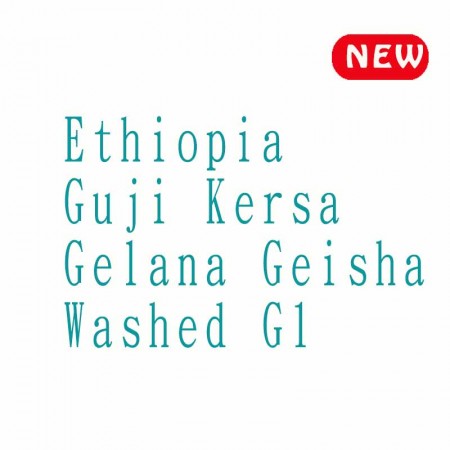 衣索比亞 古吉 蔻薩村 格蕾娜 藝妓◆莊園精品咖啡豆  半磅/袋
