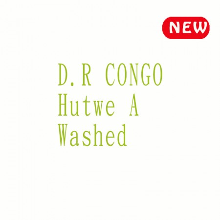 剛果 胡特維處理廠 金剛戰士 A 水洗◆莊園精品濾掛式咖啡