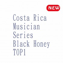 哥斯大黎加 音樂家1號  索力斯極致黑蜜處理◆莊園精品咖啡豆  半磅/袋