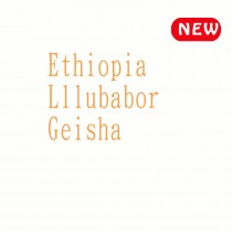 衣索比亞 耶魯巴伯 藝妓 日曬◆莊園精品濾掛式咖啡