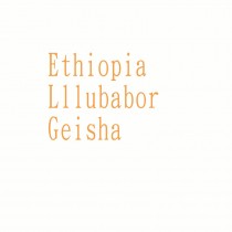 衣索比亞 耶魯巴伯 藝妓 日曬◆莊園精品咖啡豆  半磅/袋