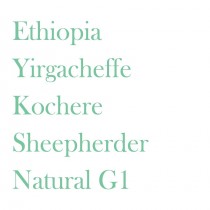 衣索比亞  耶加雪菲 牧羊人 特規日曬 G1 ◆莊園精品咖啡豆  半磅/袋