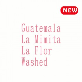 瓜地馬拉 拉米妮塔 花神◆莊園精品咖啡豆  半磅/袋